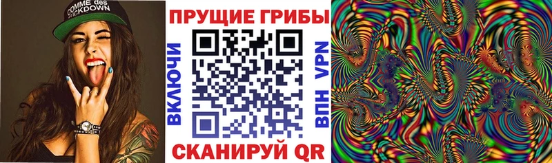 площадка как зайти  Белый  Галлюциногенные грибы Cubensis 